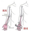 더바벨 이미지