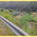 남부농원 이미지