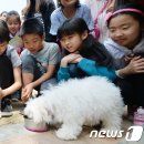 선암축산 이미지