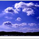 산들바람 이미지