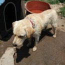 일루와농장 이미지