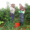 동서농장 이미지