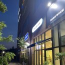 몽쉘댕댕 | 동탄 여울공원 애견카페 애견호텔 몽쉘댕댕 내돈내산 방문후기