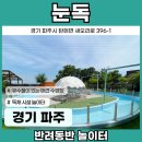 [애견 놀이터] 경기 파주 유수풀 있는 애견 수영장 &#39;눈독&#39; 탄현 반려동물 놀이터