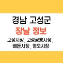 배둔시장 | 경남 고성군 장날 4개 시장 정보(고성,고성공룡,배둔,영오)