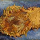 해바라기둘 이미지