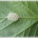 탁장사마을 이미지