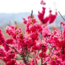 별빛 펜션 이미지