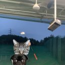 백운체력단련장 이미지