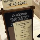 아벡사라