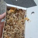 [부천 맛집] 타코야키 no.1 맛집 타코방 내돈내산 후기