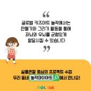 놀작상상조아미술학원