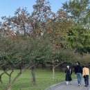 뽑기명당 이미지