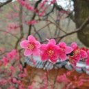 월영동275 이미지