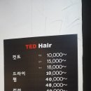 테드헤어 이미지