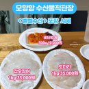 "태안" 회포장 추천ㅣ갑오징어 도다리회 비단멍게 내돈내산 포장 후기 [모항항 수산물직판장 벧엘수산]