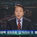 소라야 이미지