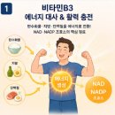 NR-7[통신사로]-하-16 | 비타민b3 효능 나이아신 음식 영양제 추천