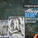 블루가(주) 이미지