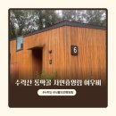 수락산 동막골 자연휴양림 일반형(4인실) 여우비 숙박 후기
