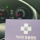 자스민동물병원 네이버블로그