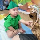 새록새록어린이집 | 어린이집 1세반 에서는 어떤 활동과 수업들을 할까?