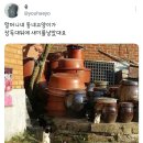 동네고양이 이미지