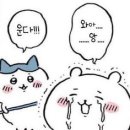 당고집 네이버블로그