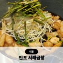 고속버스터미널 8-2(9호선) 뒤 | 고속터미널 곱창 맛집 반포 서래곱창 고터 맛집 추천