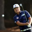 JDX골프웨어 이미지