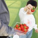 수현2농장 이미지