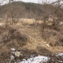 기안.당촌 이미지