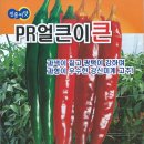 신흥종묘사 이미지