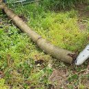 25.4.23, 나리온 42V 18인치 무선체인톱 충전식 전기톱 고장 이미지