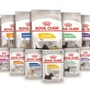 위드피시 이미지