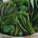 잔다리농장 이미지