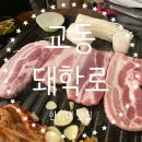 돼학로 | [춘천맛집] 교동 한림대 돼학로 고기 찐맛집 추천✨
