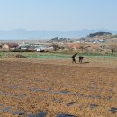 (후기) 1차 명사와 함께 서해랑길 걷기여행 - 신정일 선생님과