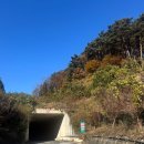 노고단레포츠 | 구례산수유 자연휴양림 예약방법/찾아가는길/이용후기 (양지꽃)