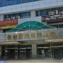 유성한진오피스텔 앞 버스정류장 이미지