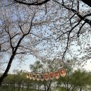 갈산공원(중간) 이미지