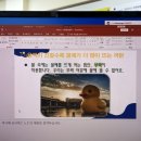 황궁건강찜질방 | 2024년 4월 4주차 하루들