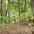 가평홍천땅N공인중개사사무소 이미지