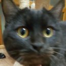 깜냥헤어 이미지