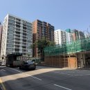 섬웨이섬하우 | [2026 홍콩(2) Day 3]센트럴, 소호거리, PMQ, 만모사원, 셀렉트18, 포호거리, 야드버드, 스타페리...