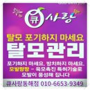 트랜드에 맞는 프랜차이즈 창업 | 셀밸런스 소자본창업아이템 실제 후기
