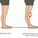 기능동작아카데미 이미지