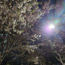삼거리회수산 이미지