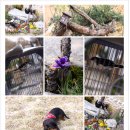 들꽃향기 펜션 이미지