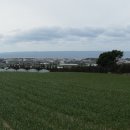 하모리-11 이미지